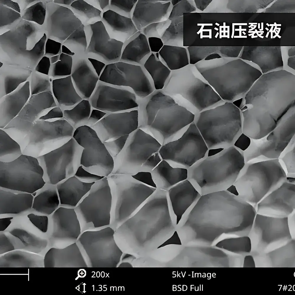 Phenom Pro_6 Desktop Scanning Electron Microscope for Petroleum & Coal Applications