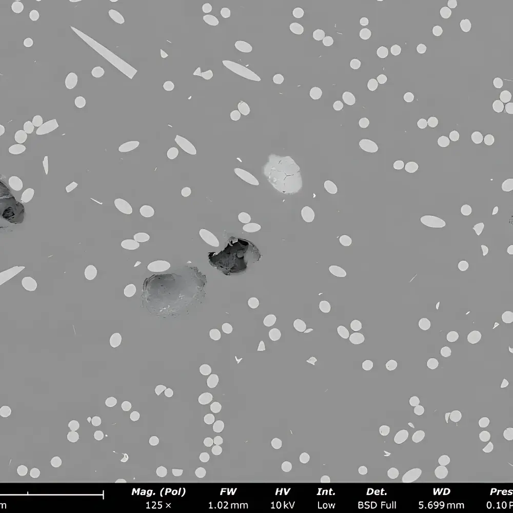 Phenom Pure G7 Desktop Scanning Electron Microscope