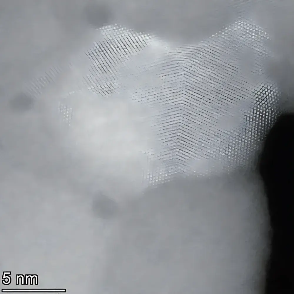 DENSsolutions Lightning Arctic In Situ Cryo-Electro-Thermal TEM Holder