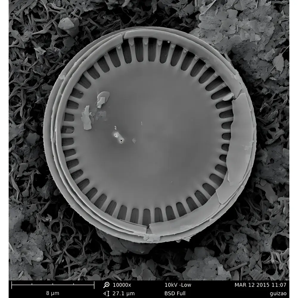 Phenom Pro Desktop Scanning Electron Microscope – High-Resolution Professional Edition