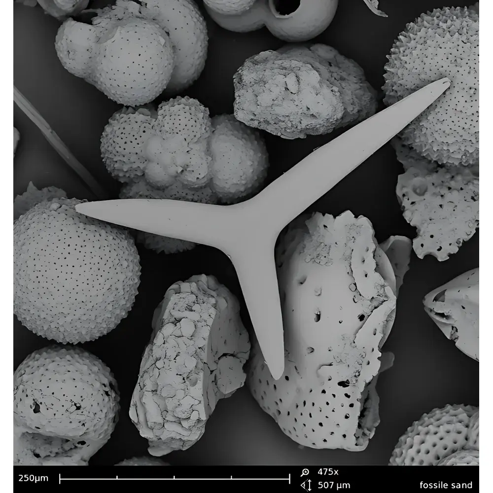 Phenom Pro Desktop Scanning Electron Microscope – High-Resolution Professional Edition