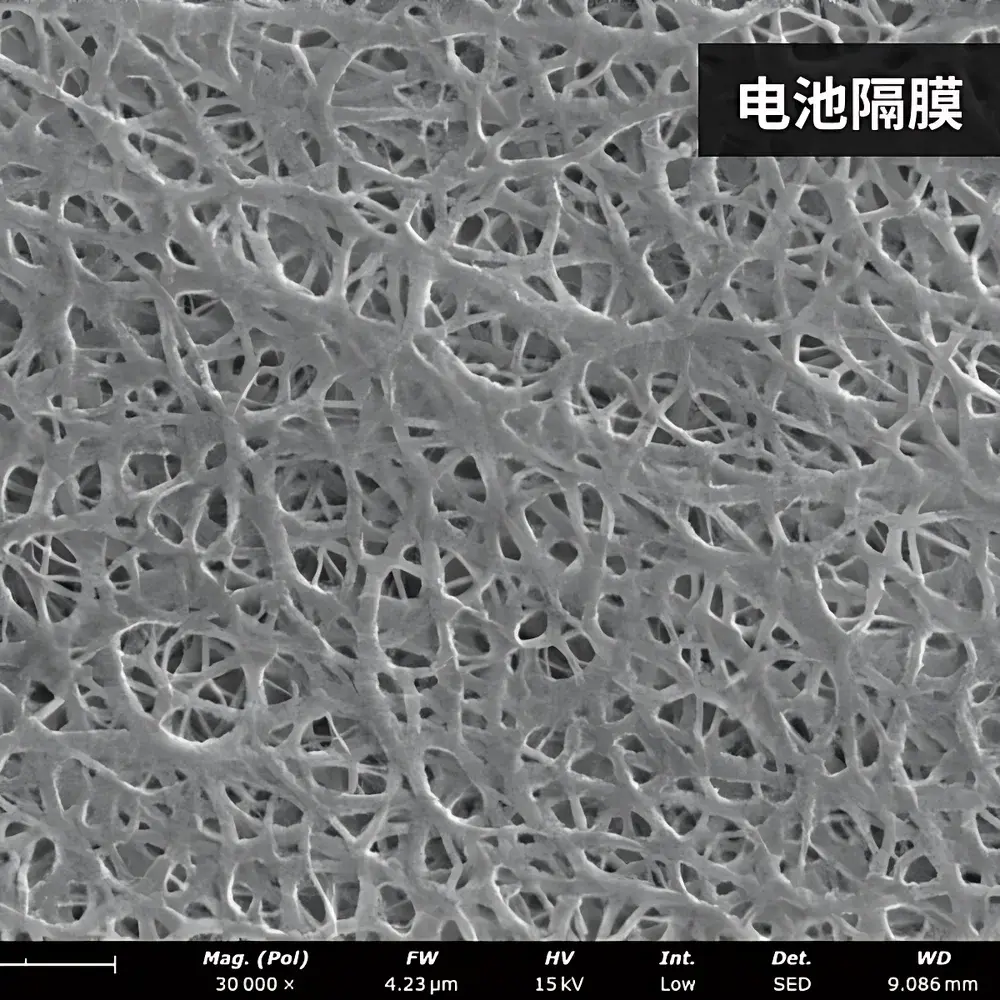 Phenom ProX_2 Desktop Scanning Electron Microscope for Battery Materials Characterization