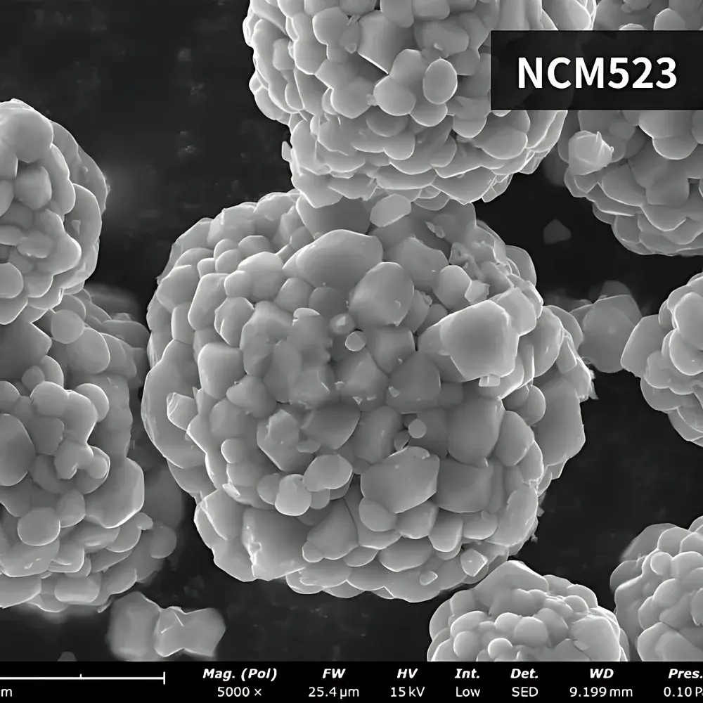 Phenom ProX_2 Desktop Scanning Electron Microscope for Battery Materials Characterization