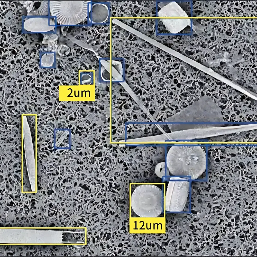 Phenom DiatomScopeTM Desktop Scanning Electron Microscope