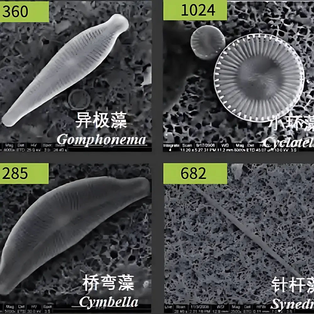 Phenom DiatomScopeTM Desktop Scanning Electron Microscope