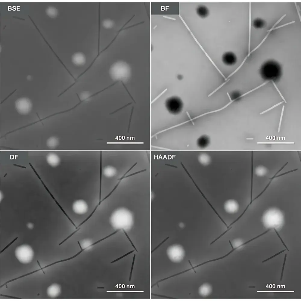 Phenom Pharos-STEM Desktop Field-Emission Scanning Transmission Electron Microscope