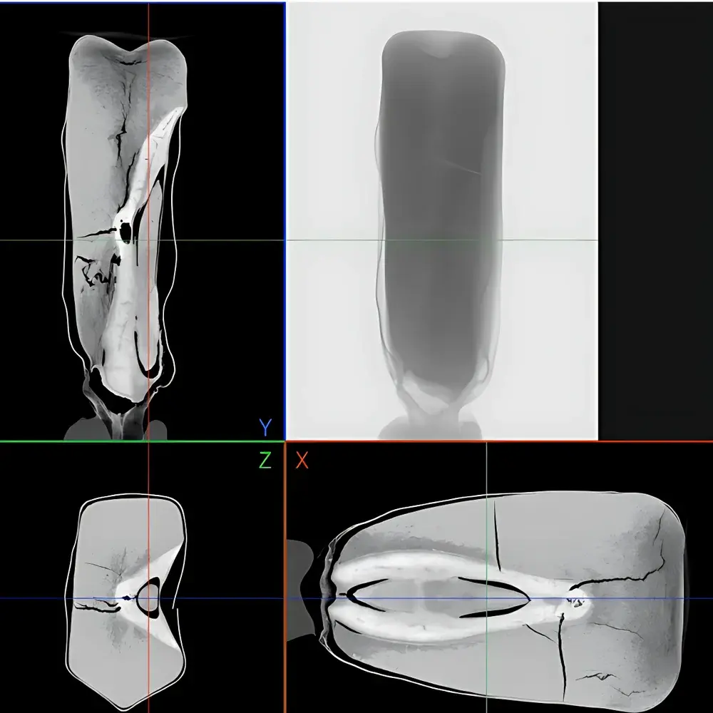 Neoscan N80 Desktop High-Resolution Micro-CT System for Agricultural and Forestry Research