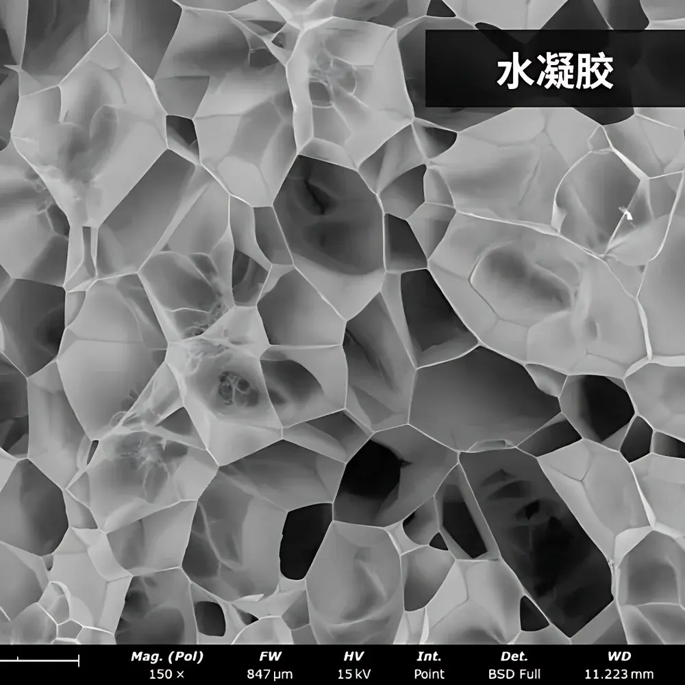 Phenom Pro_3 Desktop Scanning Electron Microscope for Polymer Membrane Characterization