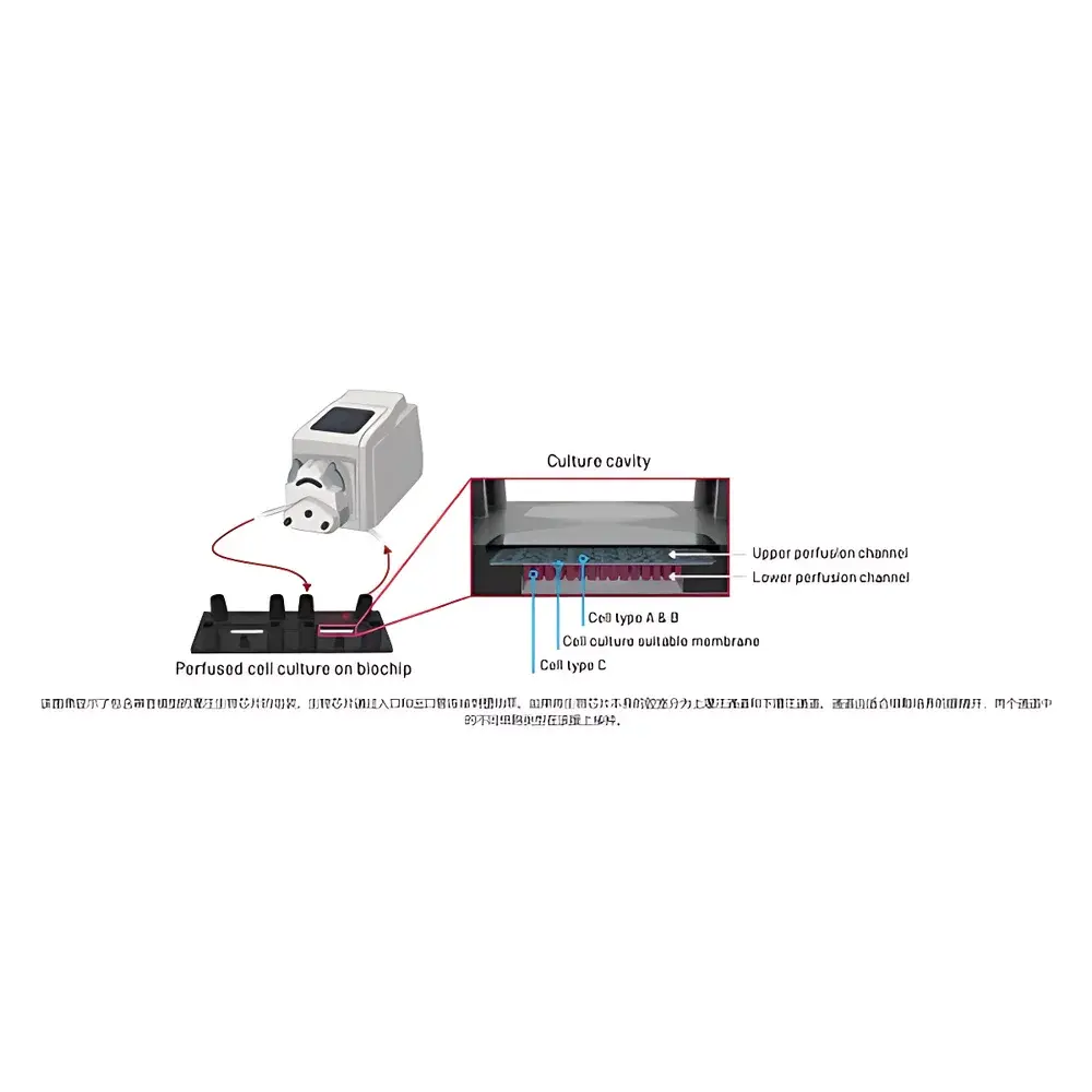 Vascularized 3D Organ-on-a-Chip Platform EPROI DynamicOrgan System Model 42
