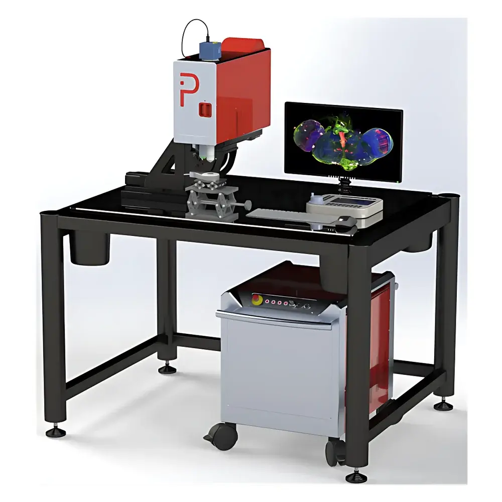 Prospect MPX Multimodal Multiphoton Microscope