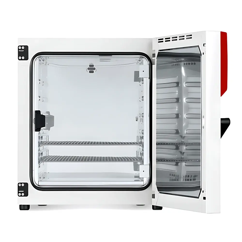 BINDER BF260 Biochemical Incubator with Forced-Air Circulation