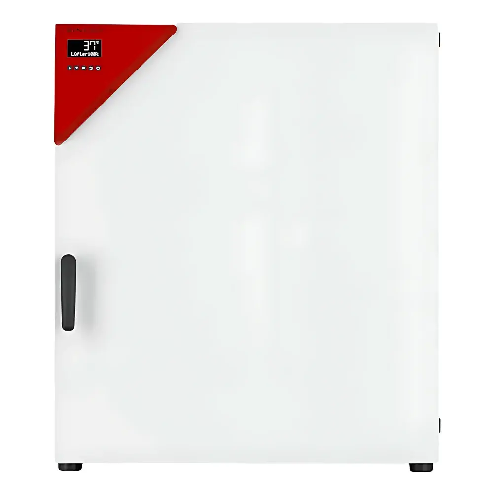 BINDER BF260 Biochemical Incubator with Forced-Air Circulation