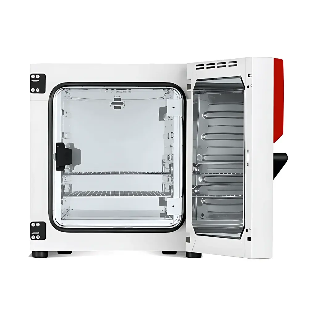BINDER BD56 Biochemical Incubator