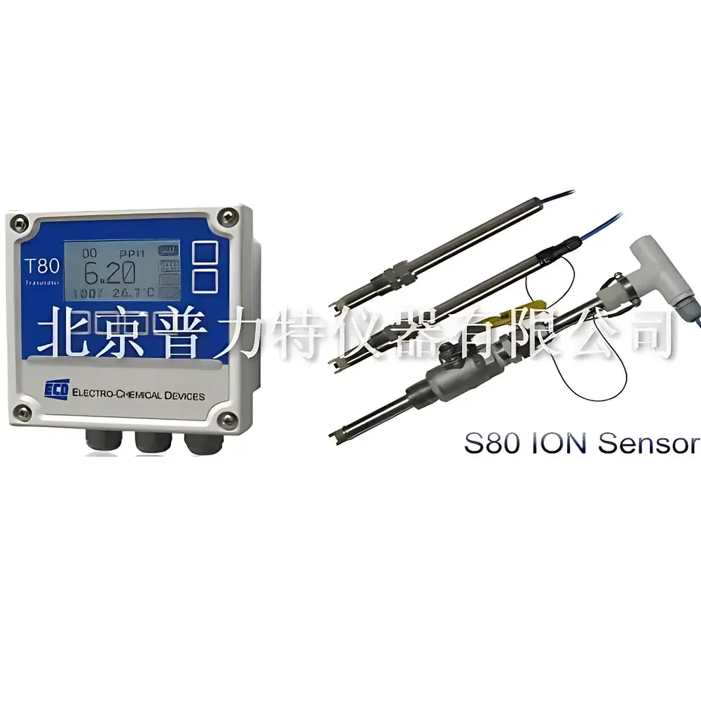 S80 Online Ion Analyzer