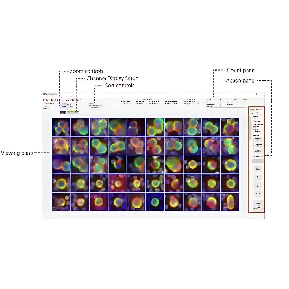 CyteFinder II Single-Cell Analysis Platform for CAR-T & Stem Cell Therapeutics