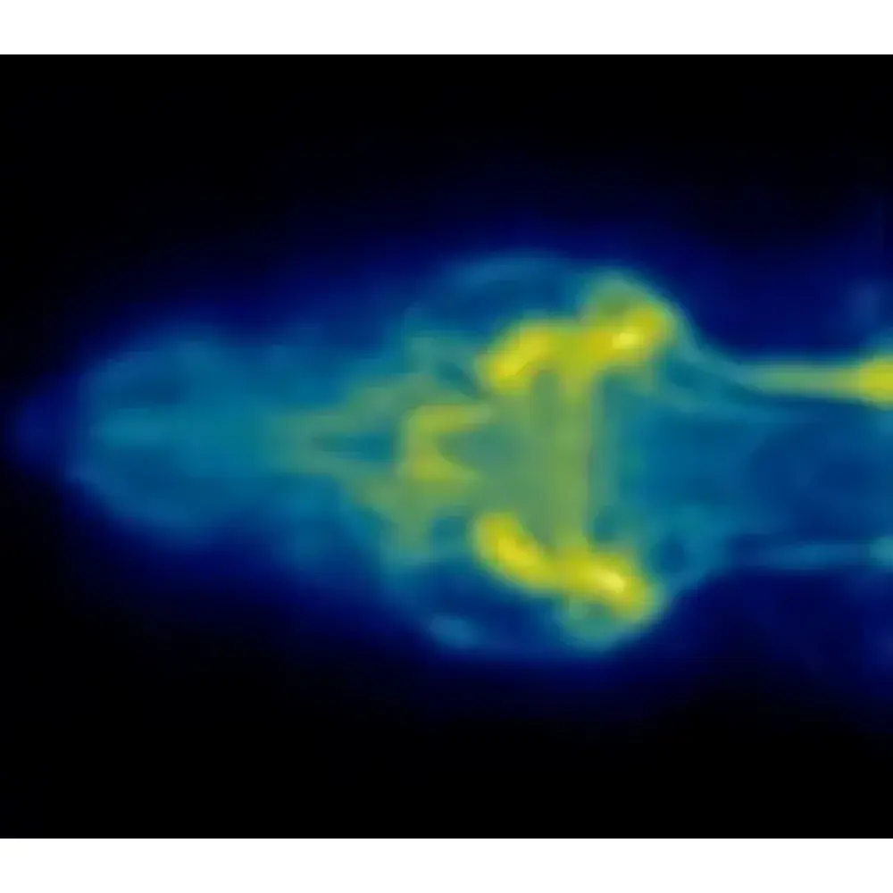 Hyper MPI Molecular Imaging and Magnetic Hyperthermia System for Small Animal In Vivo Imaging