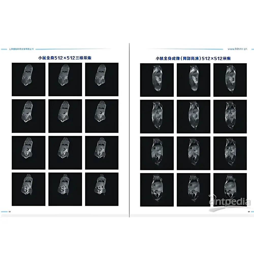 HTNMR HT-MRSI40-60KY 1.0T Preclinical MRI System for Small Animal Imaging