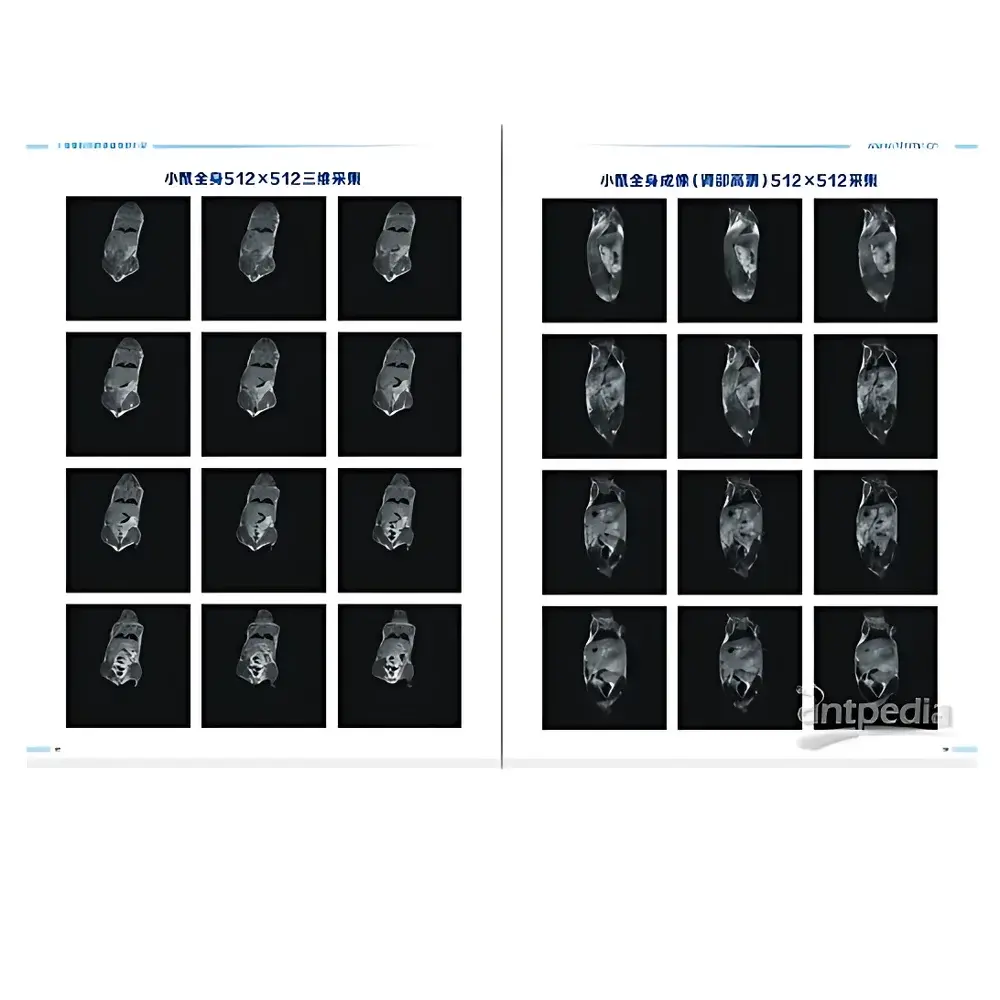 HTNMR HT-MRSI50-60KY 1.2T Permanent-Magnet Small-Animal MRI System