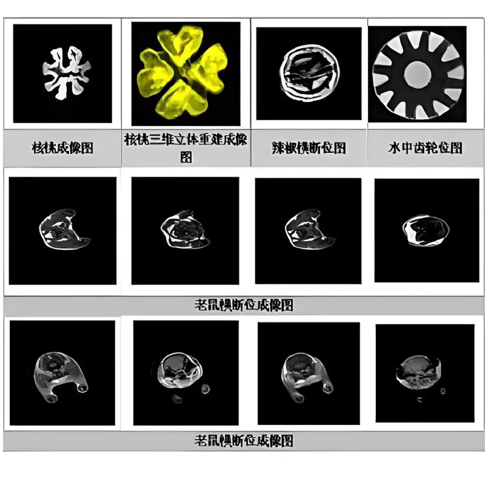 HTNMR HT-3DNMR-25 Small Animal In Vivo MRI System