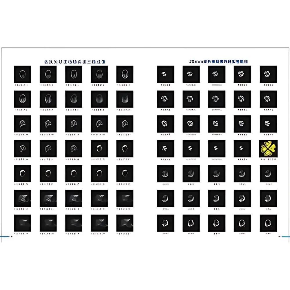 HTNMR HT-3DNMR-25 Small Animal In Vivo MRI System