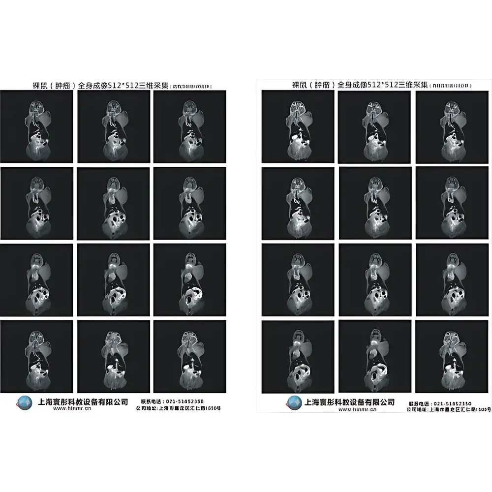 Huatong HT-MRSI50-50KY 1.2T Permanent-Magnet Small Animal MRI System
