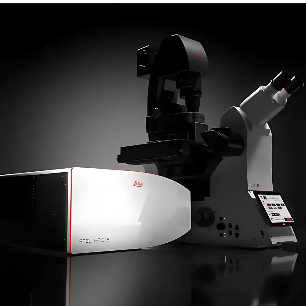 Leica STELLARIS Confocal Microscopy Platform