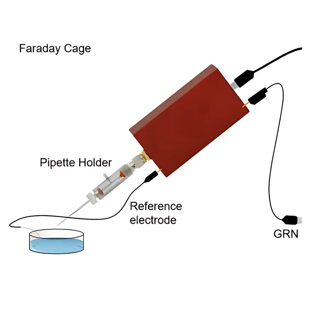 El.En. ePatch VC-CC Microfluidic Patch-Clamp Amplifier
