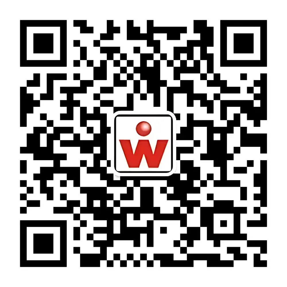 Wiseman MMA 2 kV / 2 W Miniature High-Voltage Power Supply Module