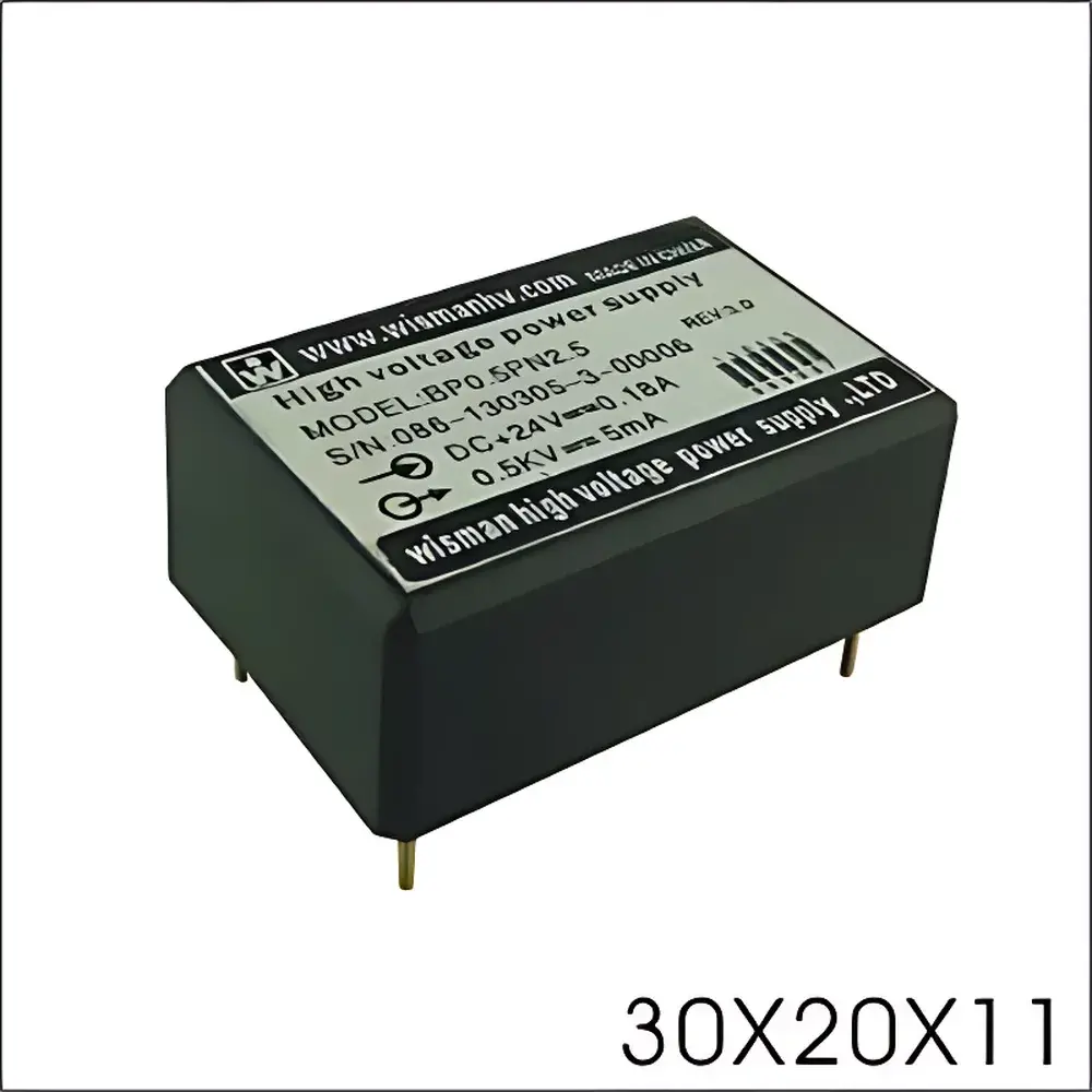 Wiseman BP Series High-Voltage DC-DC Converter Module (0.5 kV, 2.5 W)