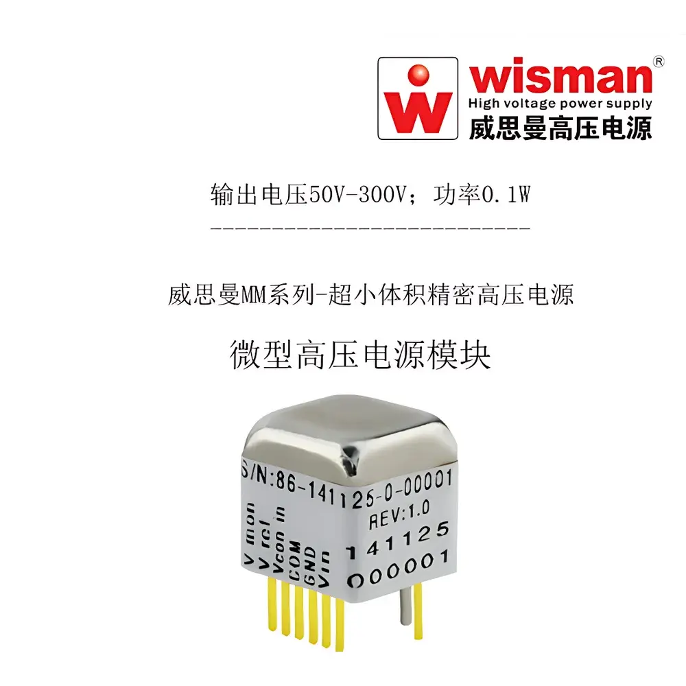 Wiseman MM Series 0.3 kV / 0.1 W PCB-Mountable High-Voltage Power Module