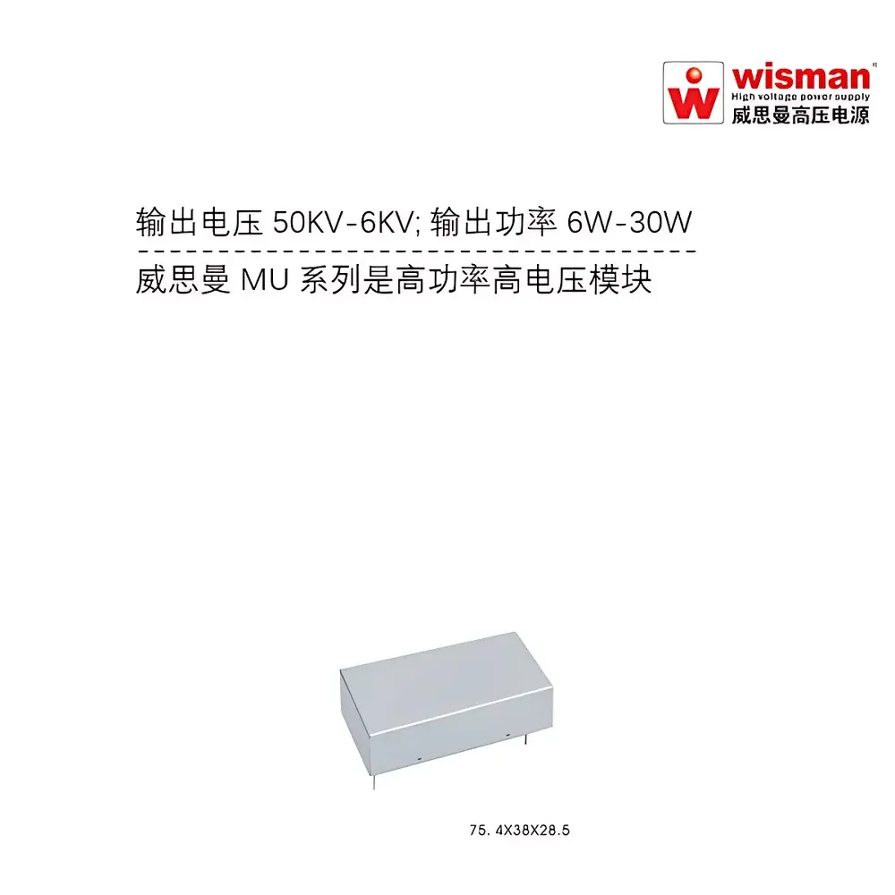 Wiseman MU Series High-Voltage DC-DC Power Module (6 kV, 30 W)