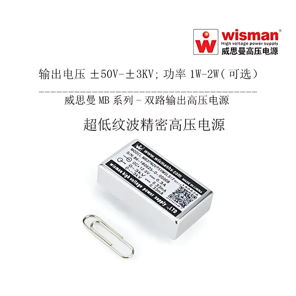 Wiseman MB Series 3 kV / 2 W Dual-Output High-Voltage DC/DC Module Power Supply
