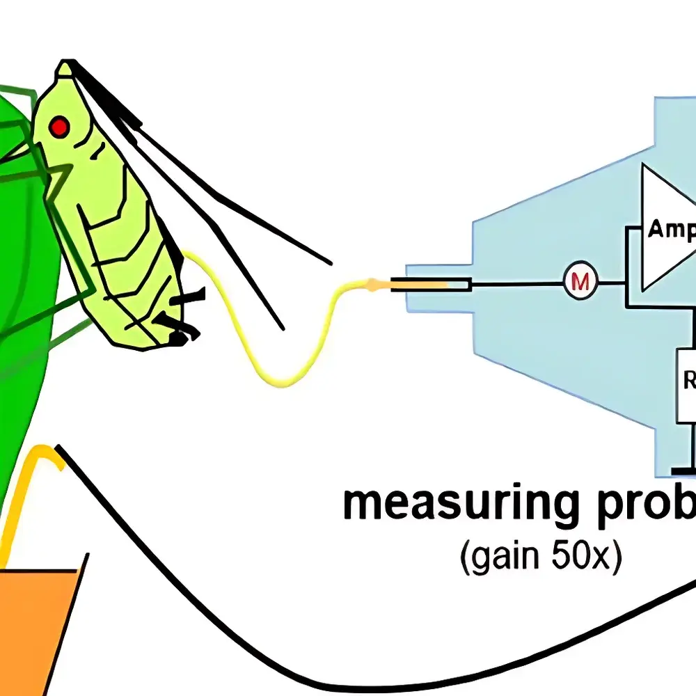 Anoxomat GIGA-8dd Eight-Channel Electrical Penetration Graph (EPG) System