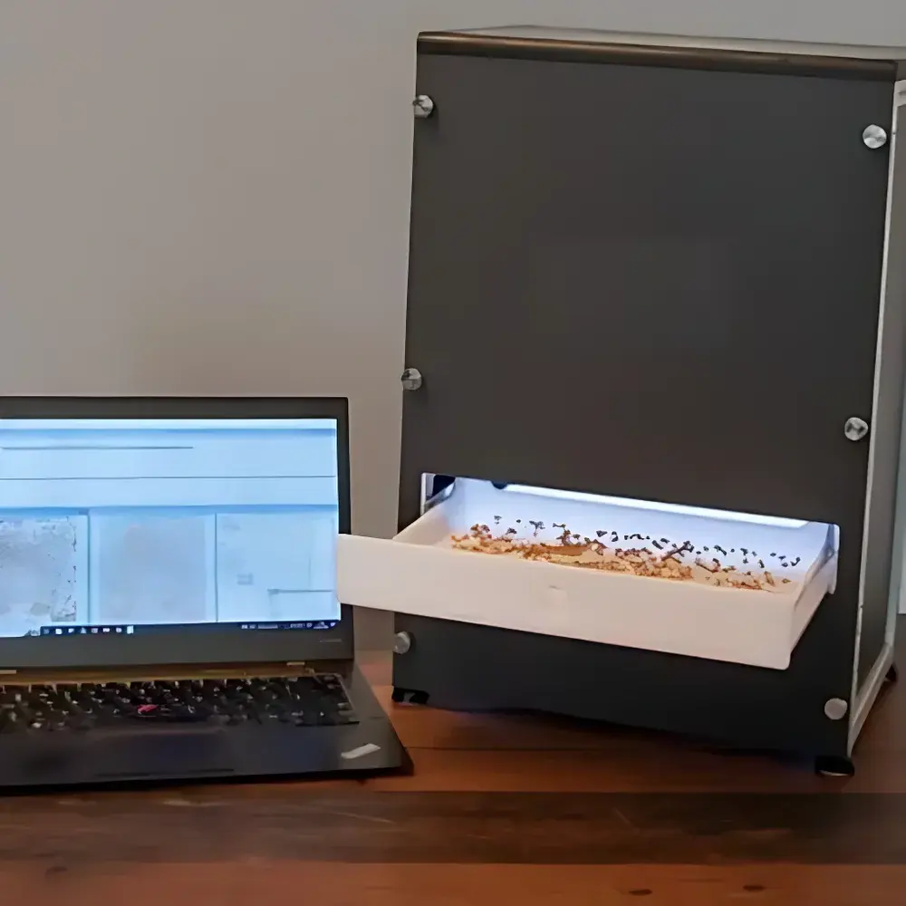 Basicmodel Automatic Seed Analyzer and Thousand-Grain Weight (TGW) System