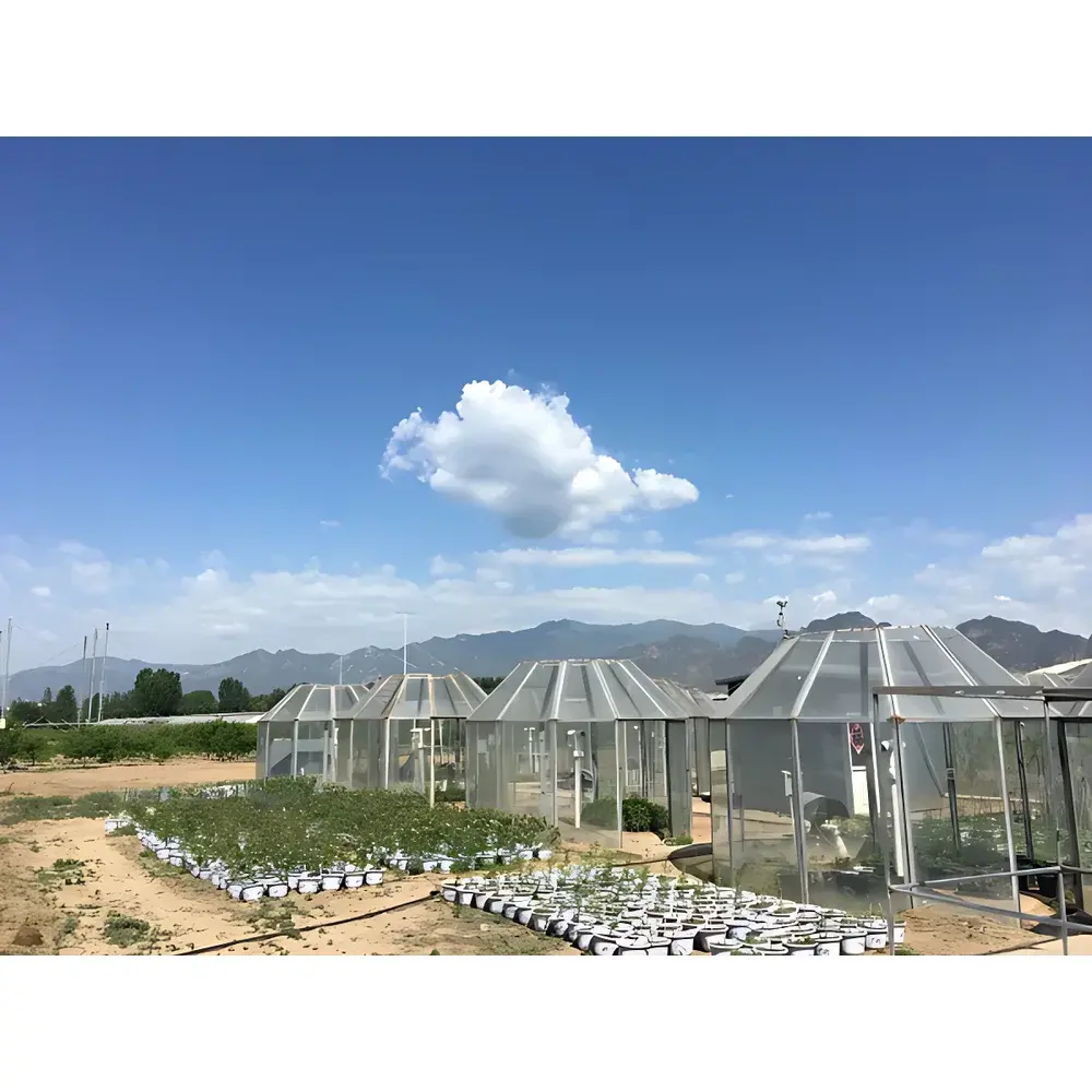 AERODYNE EcoCosm Ozone Control Experimental System