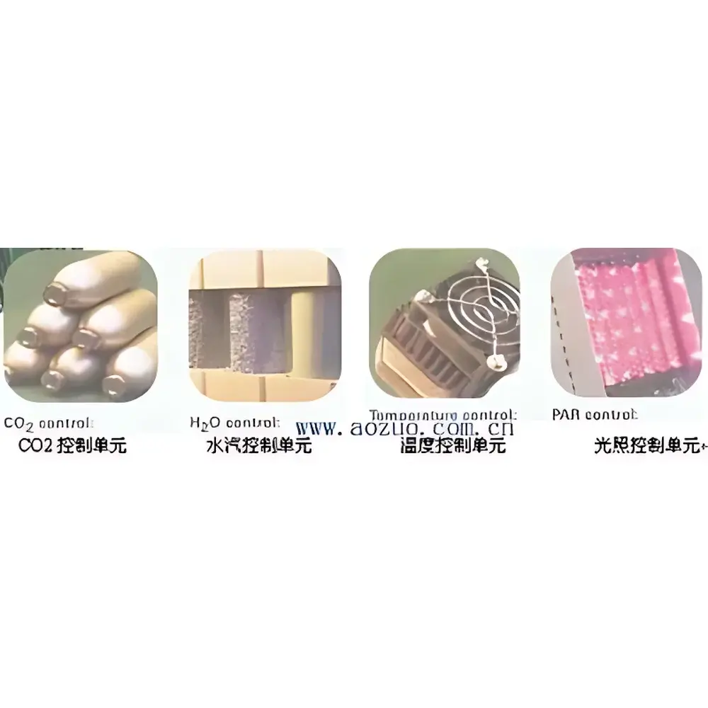 English Product Name