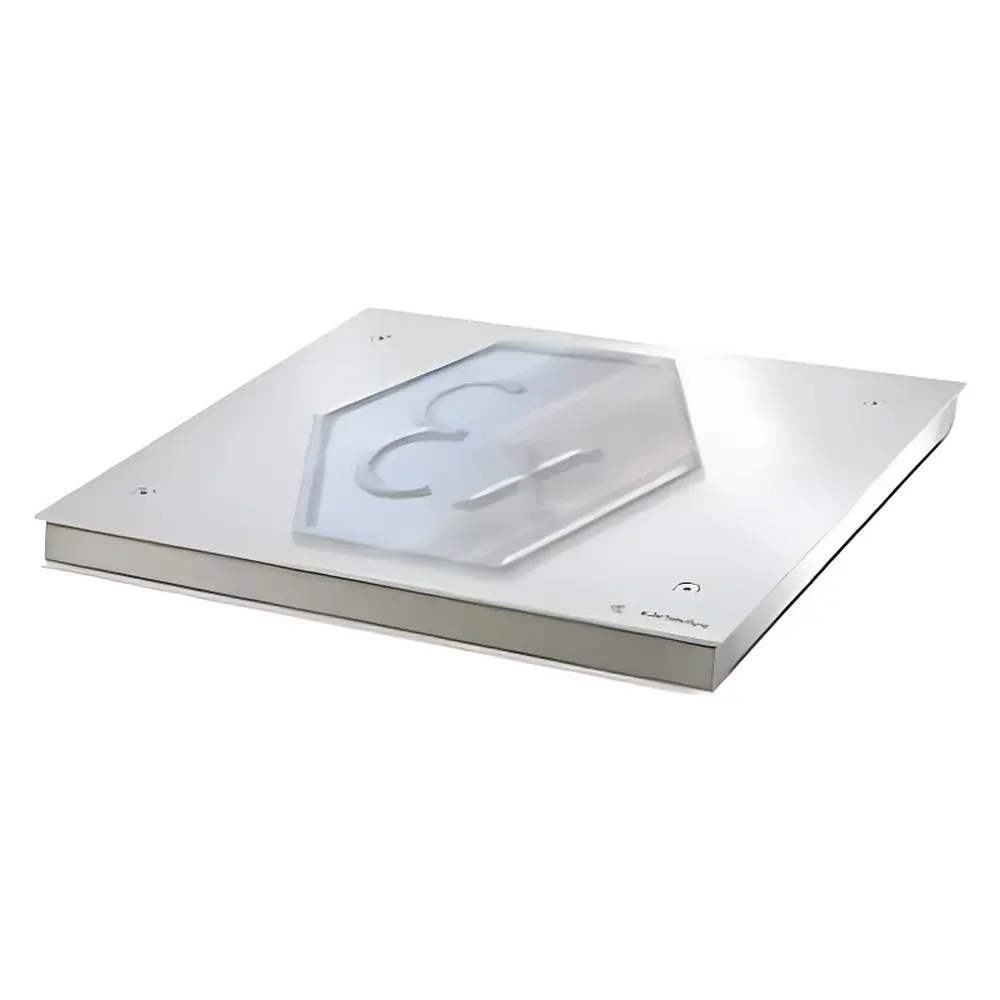 Sartorius Combics Intrinsically Safe Platform Scale
