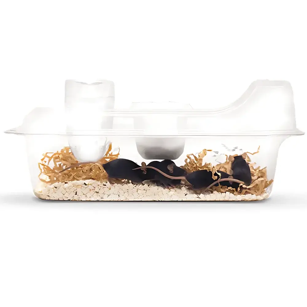 Allentown EasyCage Single-Use IVC Caging System for Mice and Rats