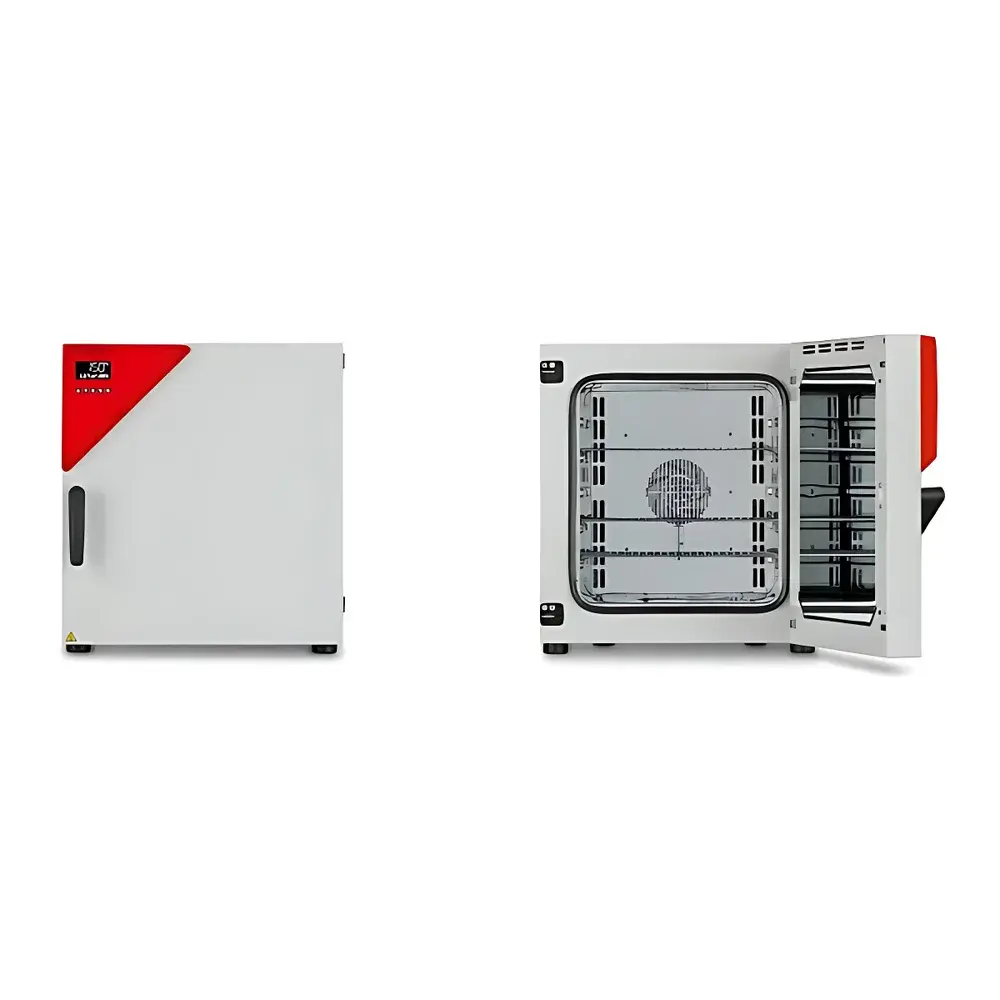 BINDER FD115 Forced Convection Drying Oven