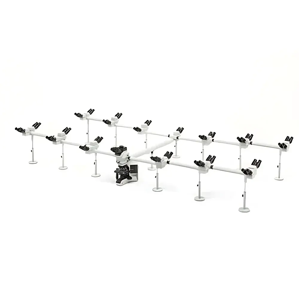 Olympus/EVIDENT BX53 LED Semi-Motorized Fluorescence Microscope