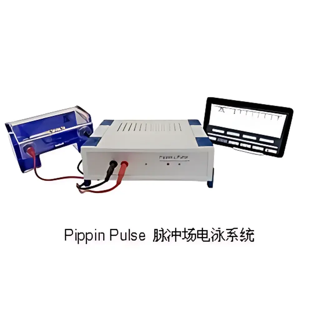 Pippin Pulse Pulsed-Field Electrophoresis System
