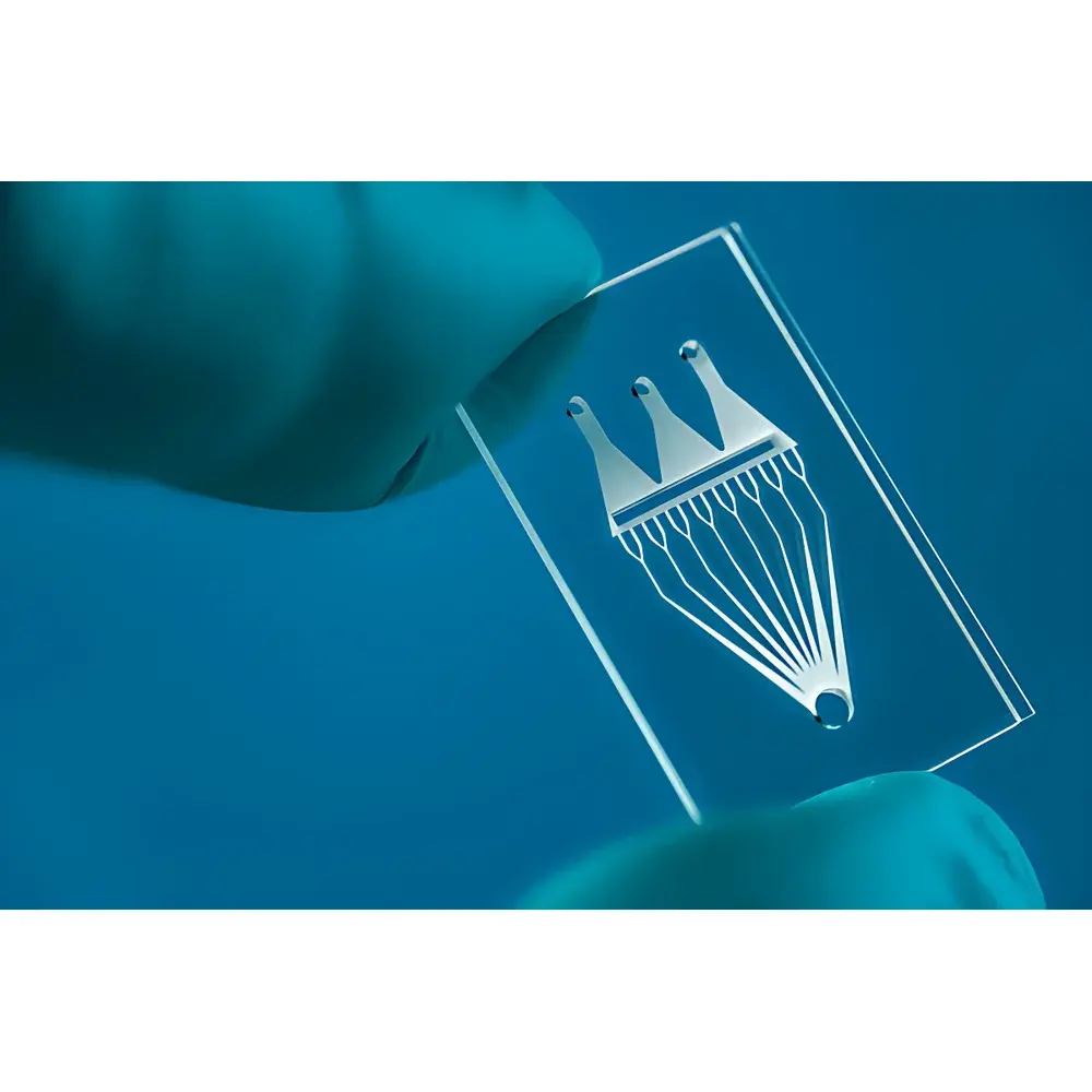 Workshop of Photonics Femto LAB Femtosecond Laser Micro-Nanofabrication System