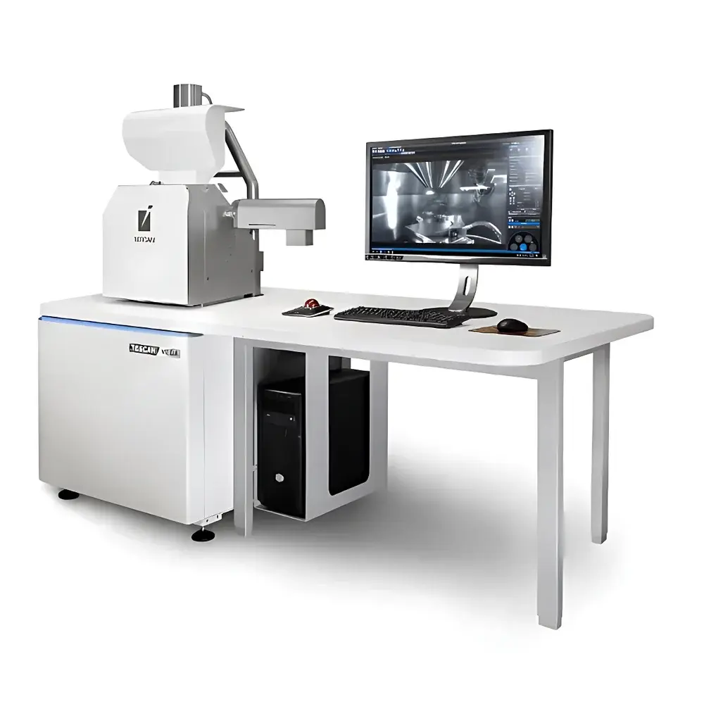 TESCAN VEGA Scanning Electron Microscope (SEM)