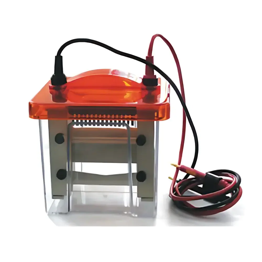 HengaoDe HAD/PP Acrylic Plankton Counting Frame for Microscopic Phytoplankton Enumeration
