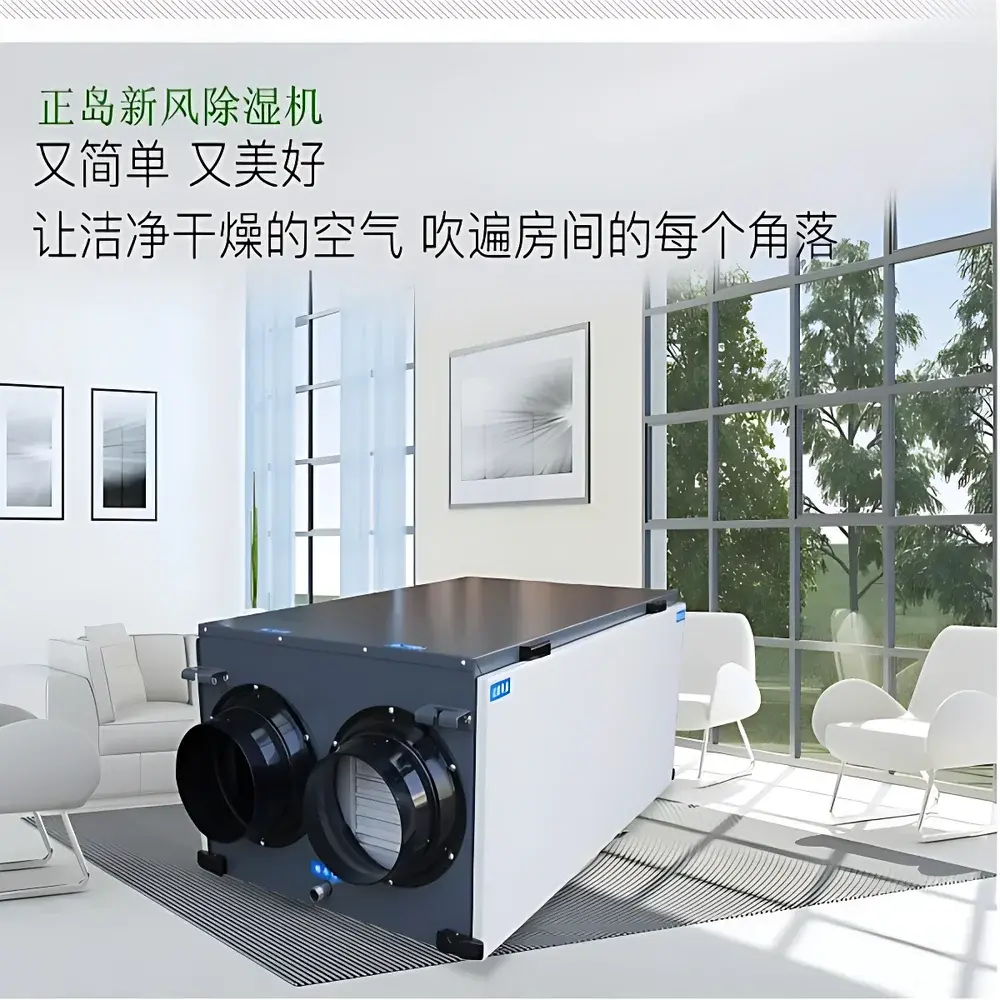 ZEDO ZD-668XF Central Fresh Air Dehumidification System
