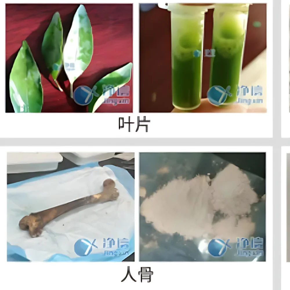 Jingxin JXFSTPRP-192 High-Throughput Cryogenic Ball Mill Grinder for Tissue Homogenization and Cell Lysis