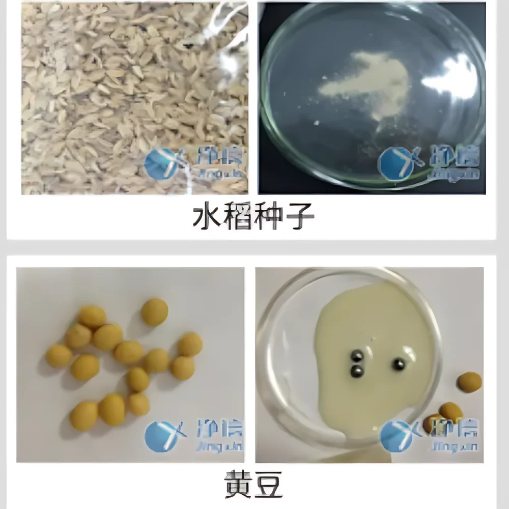 Jingxin JXFSTPRP-192 High-Throughput Cryogenic Ball Mill Grinder for Tissue Homogenization and Cell Lysis