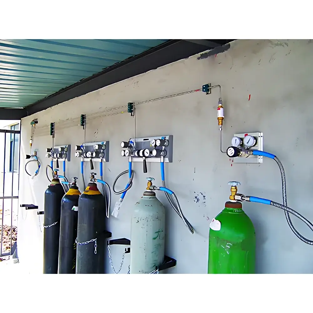 Fengjin FJ-SYSGXXT1 Central Gas Supply System for Laboratories