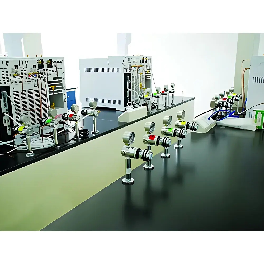 Fengjin FJ-SYSGXXT1 Central Gas Supply System for Laboratories