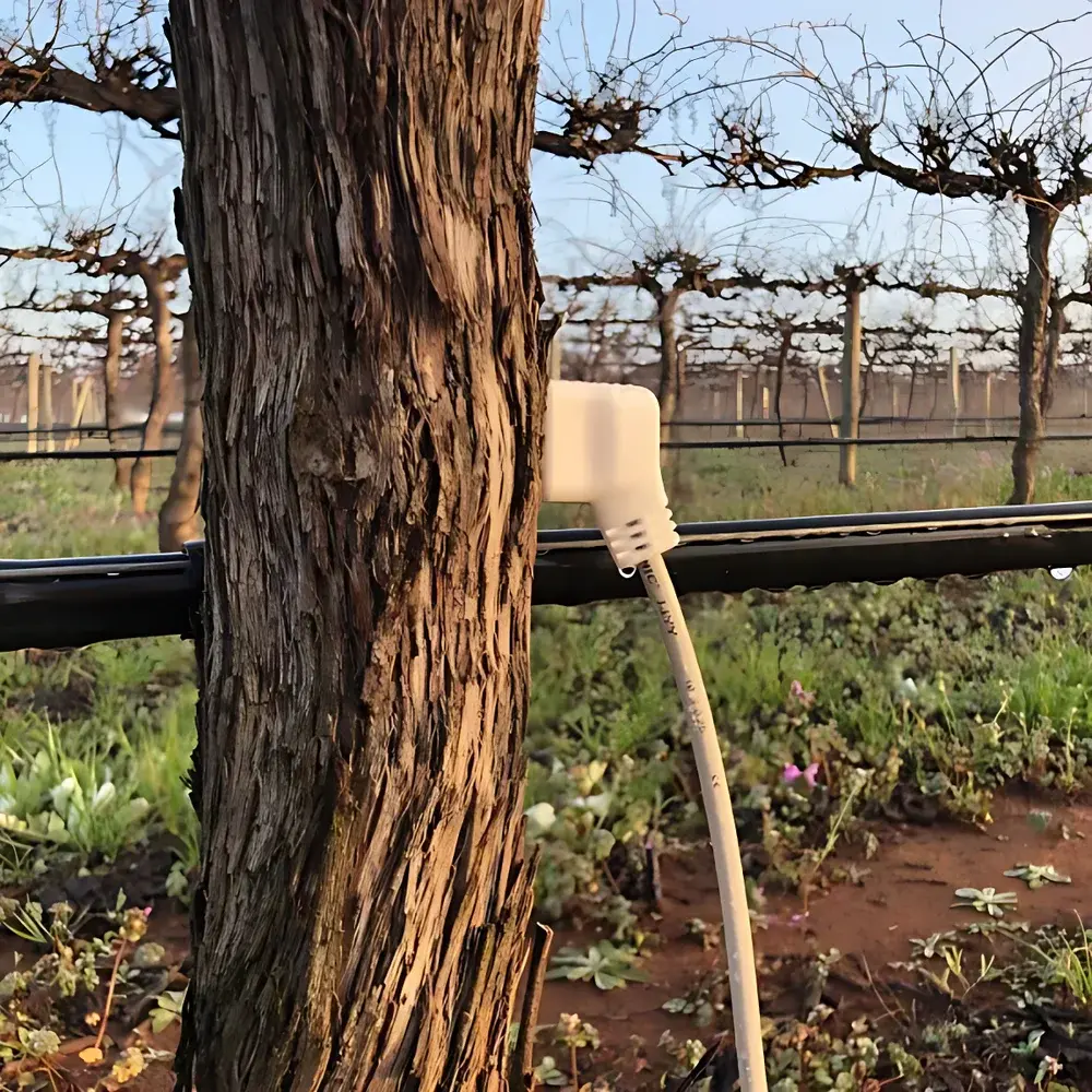 Edaphic HPV-06 Heat Pulse Velocity Stem Flow Sensor